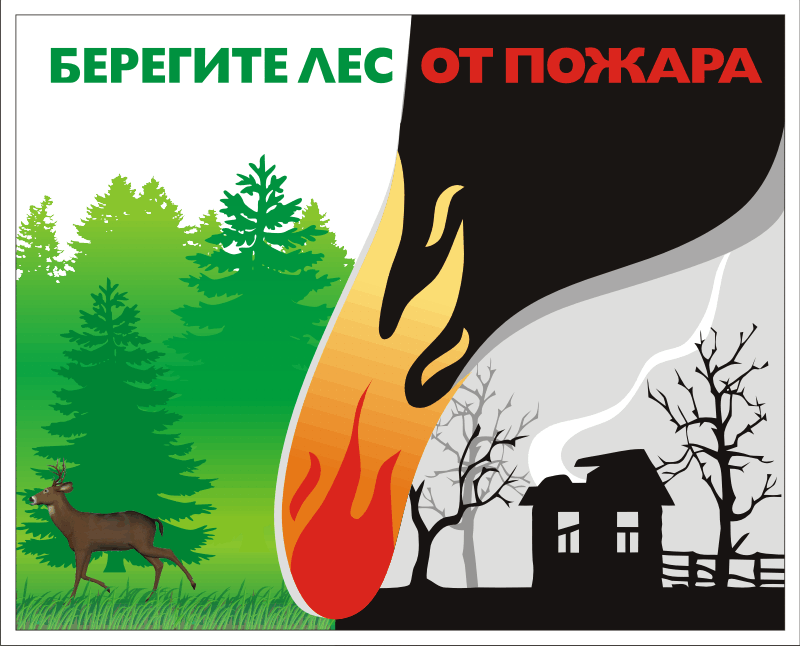 Уважаемые жители п.Чернь и Чернского района, соблюдайте элементарные правила пожарной безопасности в лесу:.