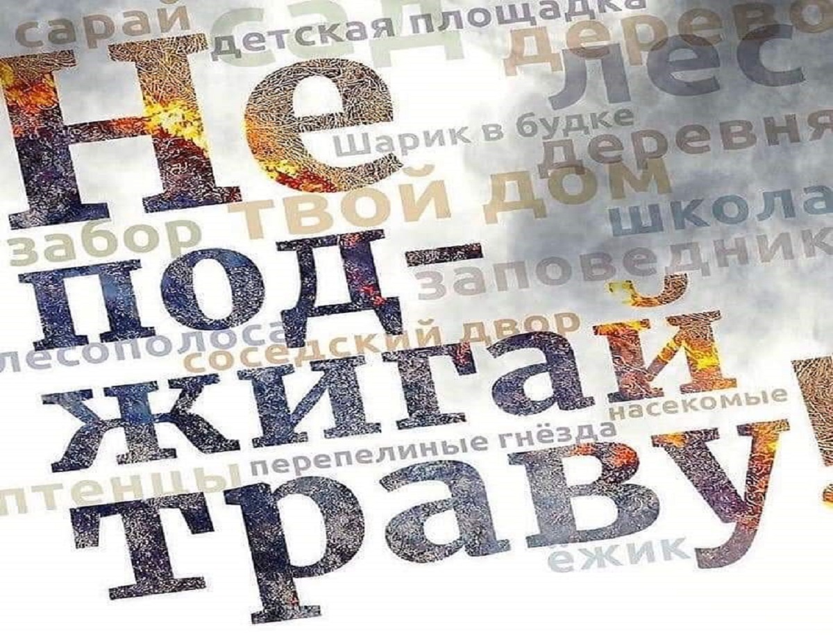 Пал травы– это настоящее стихийное бедствие..