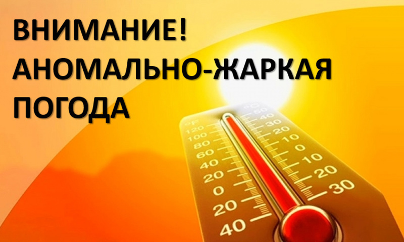 По информации ФГБУ «Центрального УГМС» в дневные часы 7 июля в отдельных районах Тульской области ожидается сильная жара 30-31℃. .
